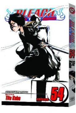 Bleach - 54