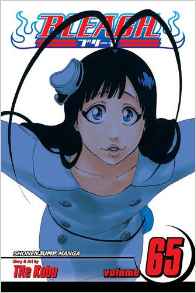 Bleach - 65