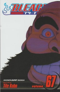 Bleach - 67