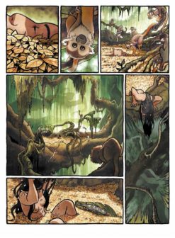 Berenkoning. 2 berenkoning pagina