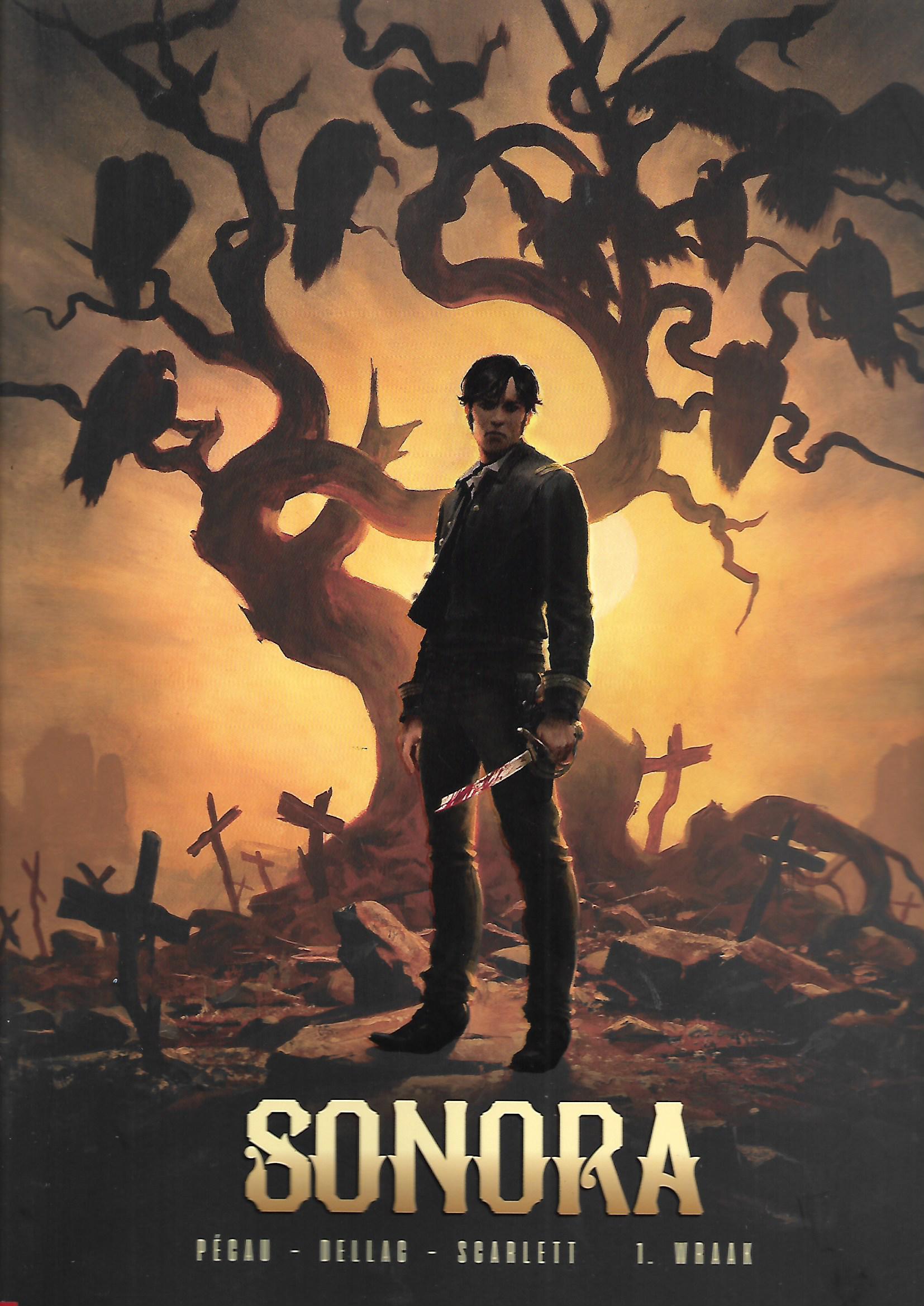 sonora sc 1 (v) sonora sc 1 v