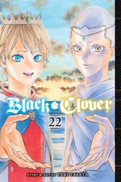 Black clover 22.