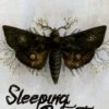 Sleeping Beauties: A graphic novel, part 2. 1 sleeping beauties 2
