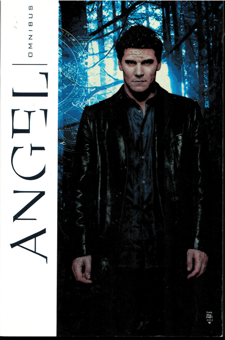 angel IDW omnibus 1 angel IDW omnibus 1