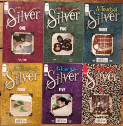 A touch of silver #1-6.