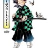 The art of Demon Slayer: Kimetsu no Yaiba 1 The art of Demon Slayer.