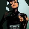 One bad day Catwoman