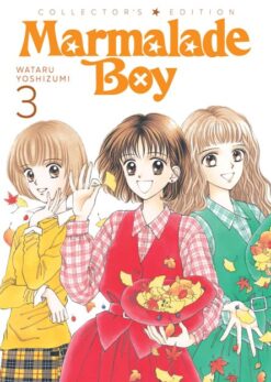 Marmalade boy: collector's edition 3.