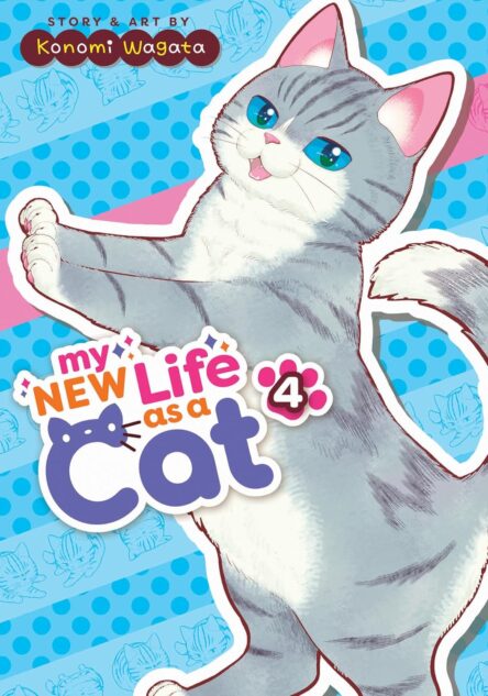 My new life as a cat 4. My new life as a cat 4 e1705069253844