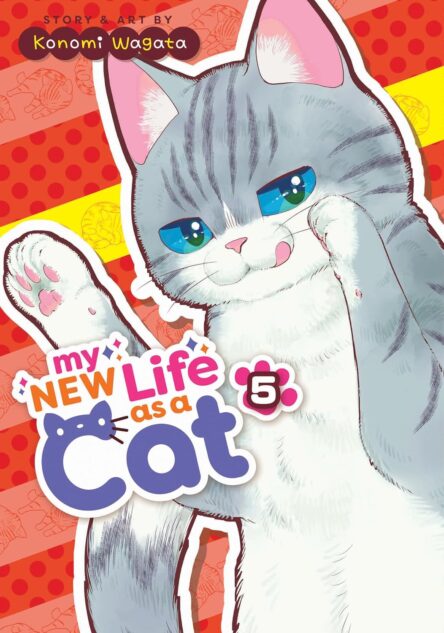 My new life as a cat 5. My new life as a cat 5 e1720183216407