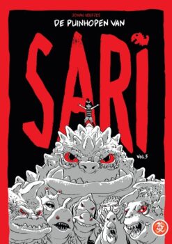 De puinhopen van Sari 3.