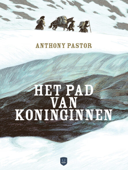 Het-Pad-van-Koninginnen-cover.indd Het pad van de Koninginnen e1734178477500