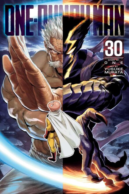 One-punch man 30. One punch man 30 e1743159018517