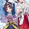 sword art fly 3