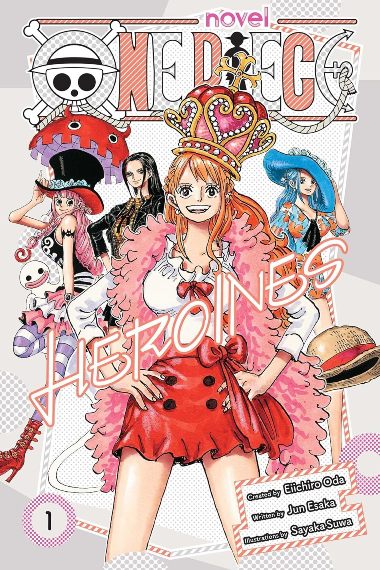 one piece heroines novel one piece heroines novel