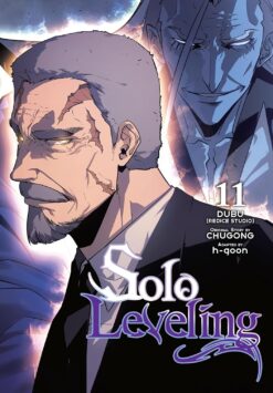 Solo leveling 12.