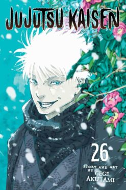 Jujutsu kaisen 26.
