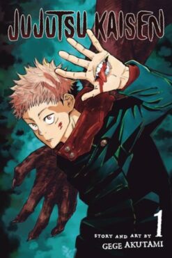 Jujutsu kaisen 1.  (Nederlandse uitgave)