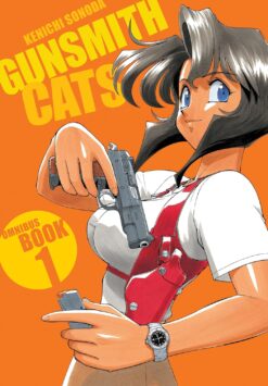 Gunsmith Cats omnibus: book 1