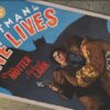 the Batman in Nine Lives