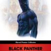 Black Panther A Nation under our Feet Marvel Premier Collection