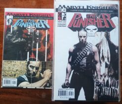 The Punisher (Marvel Knights) #1-37