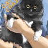 Cat Crazy 3