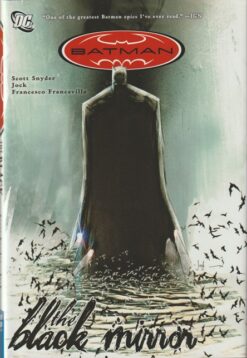 Batman: The black mirror.