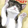 cat crzay 1