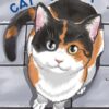 cat crzay 2