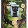 Warrior cats: Tijgerster en Sasha 4. De opkomst van de Shruk 2 warrior cats 4